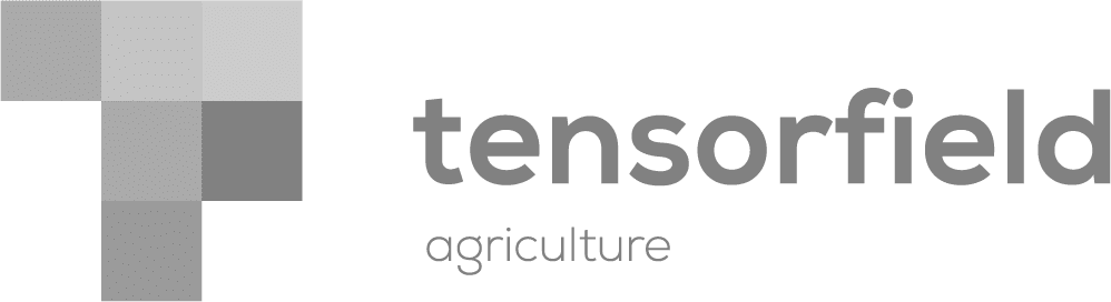 Tensorfield logo
